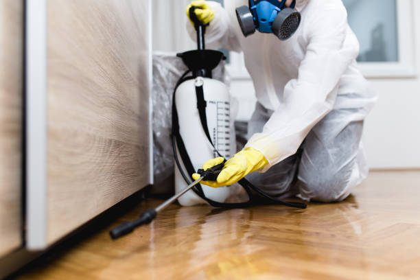 Trusted Morningside, MD Pest Control Experts