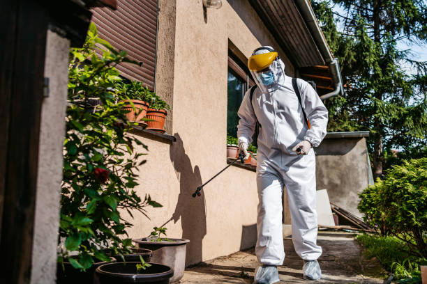 Best Flea Control Services  in Morningside, MD