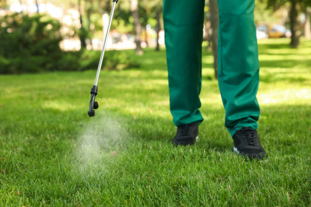 Pest Control for Restaurants in Morningside, MD